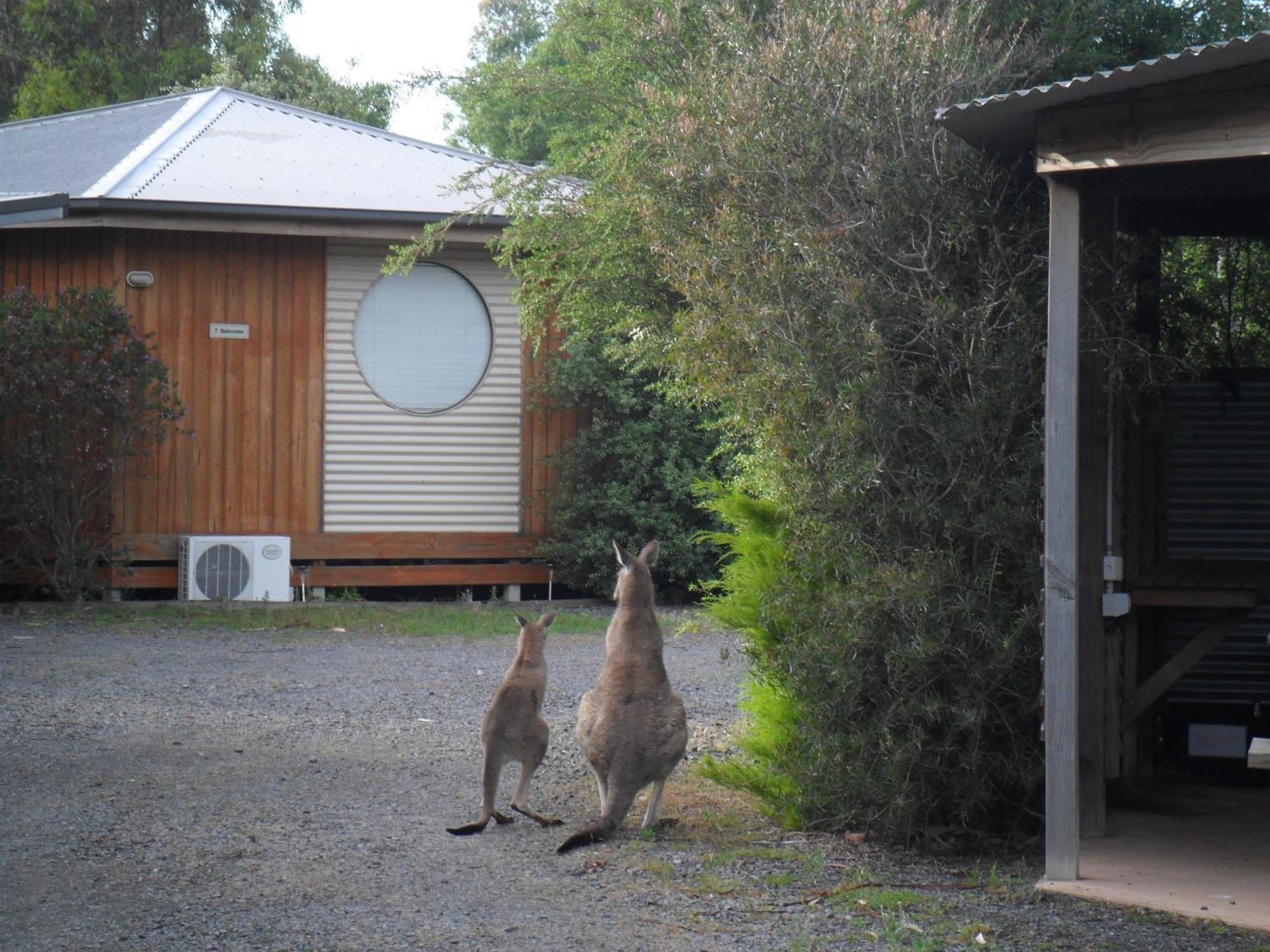 Grampians Chalets ホールズギャップ エクステリア 写真