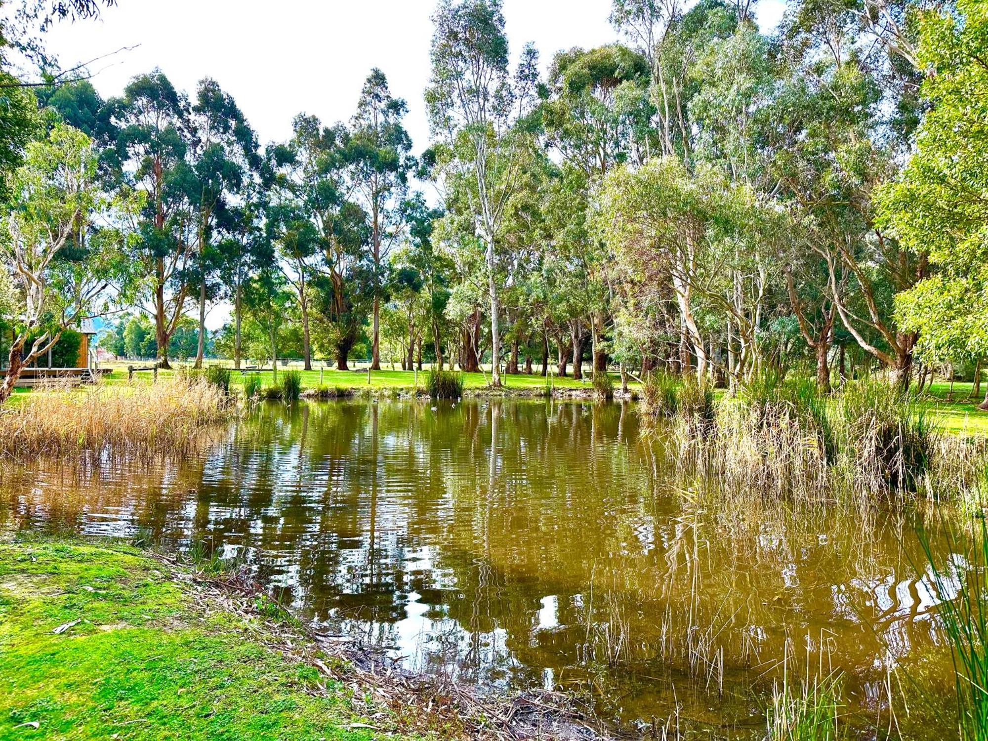 Grampians Chalets ホールズギャップ エクステリア 写真