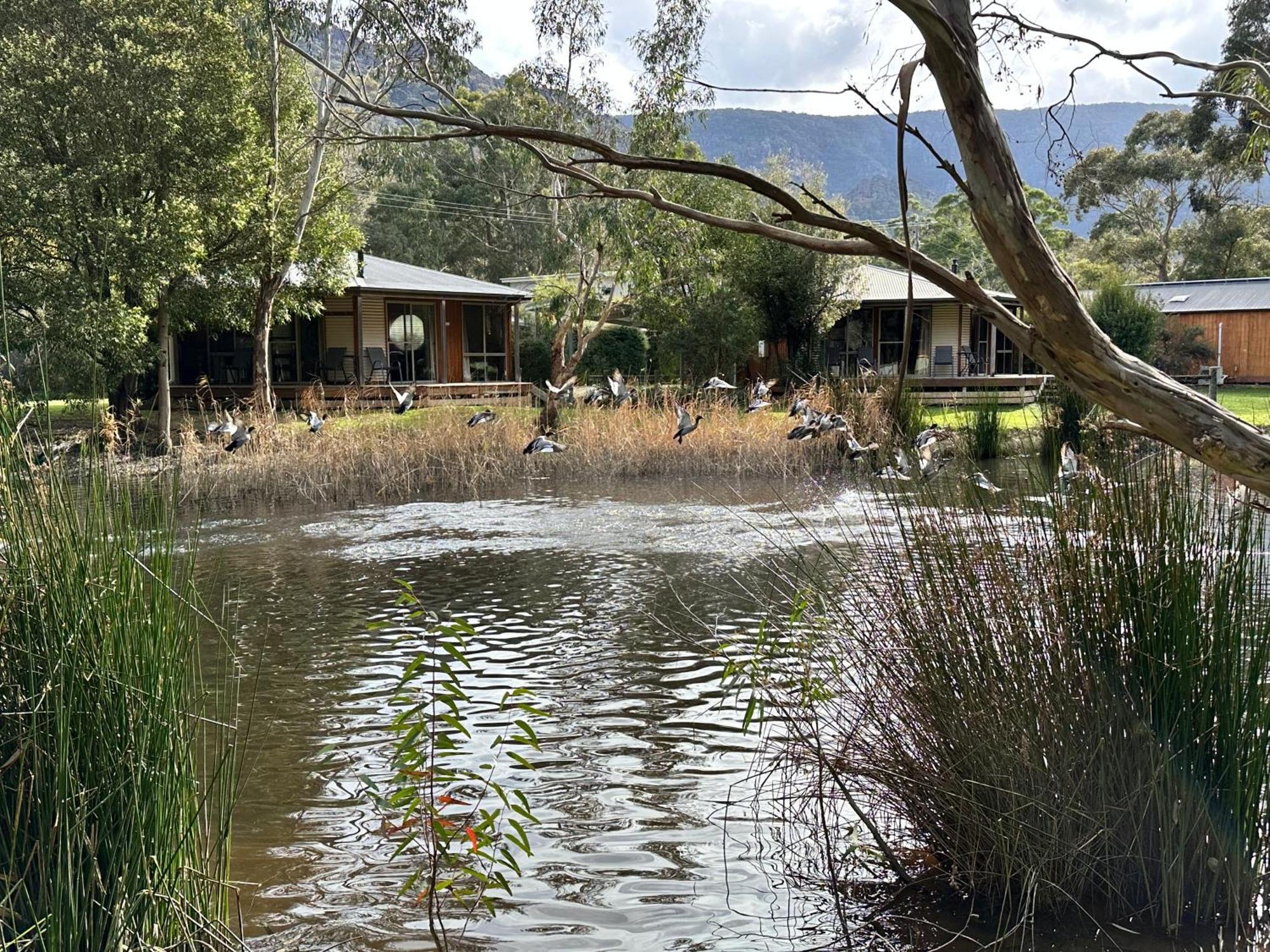 Grampians Chalets ホールズギャップ エクステリア 写真